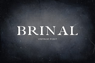 Brinal Serif Font for Distinctive Web Design