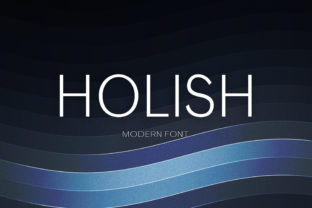 Holish: A Modern Sans Serif Font That Elevates Real Business Branding
