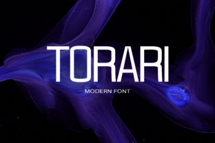 Torari: A Friendly Sans Serif for Modern Digital Brands