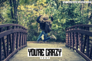 You’re Crazy Font: A Bold, Casual Sans Serif for Scroll-Stopping Campaigns